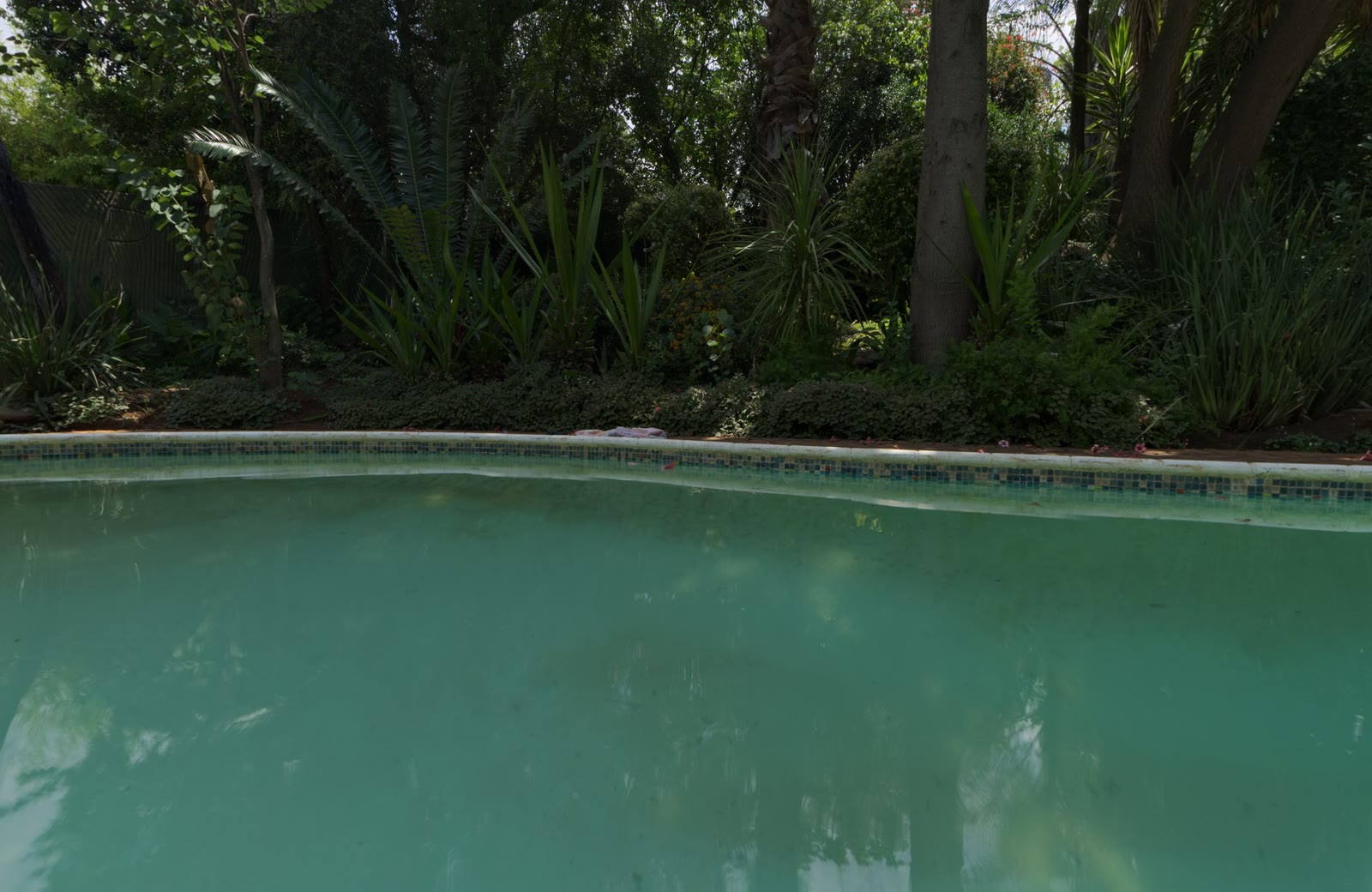 Casa em condomínio com piscina e área gourmet